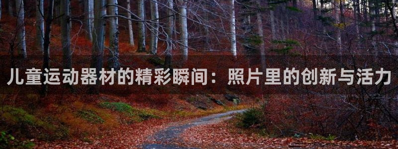 fb体育平台注册要钱吗是真的吗：儿童运动器材的精彩瞬