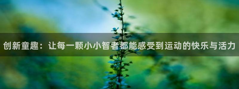 fb体育集团：创新童趣：让每一颗小小智者都能感受到运