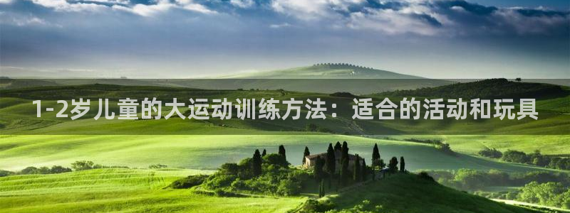 fb体育新能源：1-2岁儿童的大运动训练方法：适合的