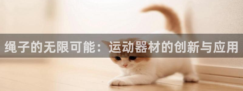 fb体育娱乐40996：绳子的无限可能：运动器材的创