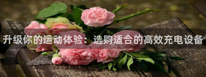 fb体育神州：升级你的运动体验：选购适合的高效充电设