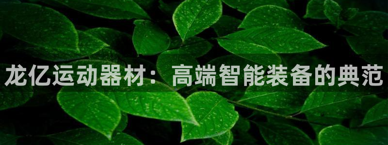 fb体育娱乐：龙亿运动器材：高端智能装备的典范