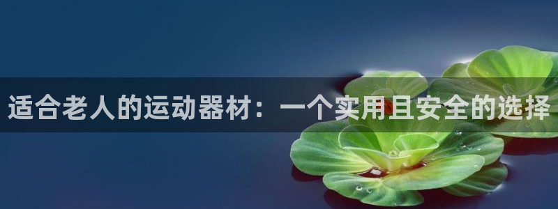 fb体育娱乐：适合老人的运动器材：一个实用且安全的选择