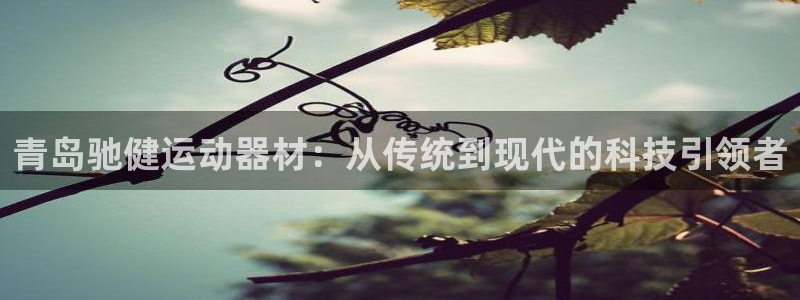 fb体育：青岛驰健运动器材：从传统到现代的科技引领者
