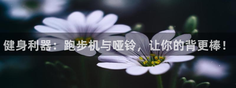 fb体育官方客服电话
