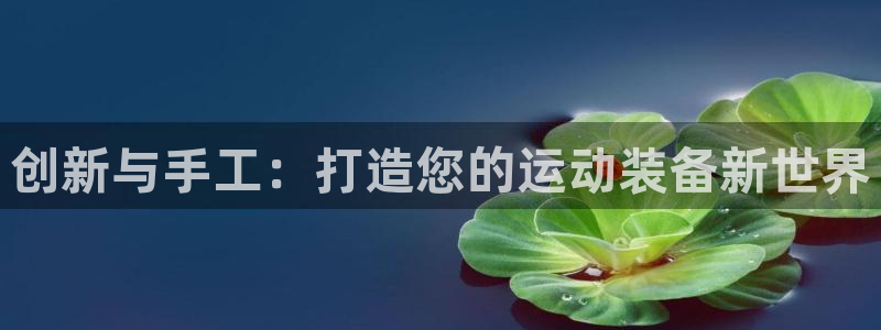 海南fb体育：创新与手工：打造您的运动装备新世界