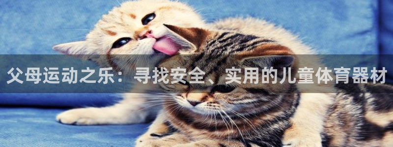 fb体育官网：父母运动之乐：寻找安全、实用的儿童体育器材