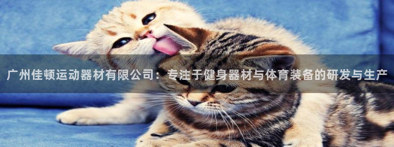 fb体育联系电话：广州佳顿运动器材有限公司：专注于健身器材与