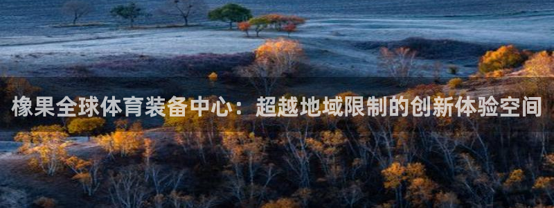 fb体育官方