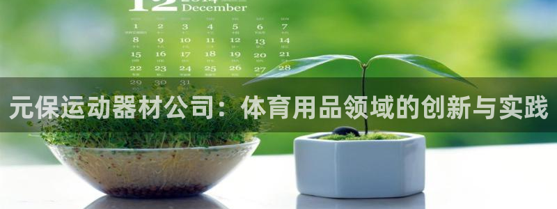 fb体育娱乐是那个系列的台子：元保运动器材公司：体育