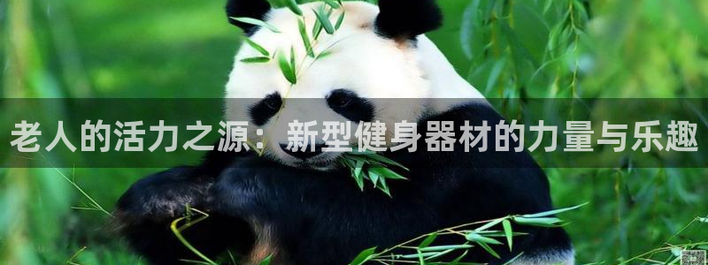 fb体育平台假的吗是真的吗吗：老人的活力之源：新型健