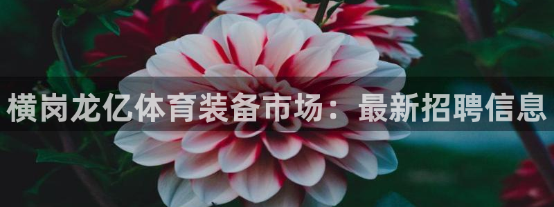 fb体育娱乐首页官网下载