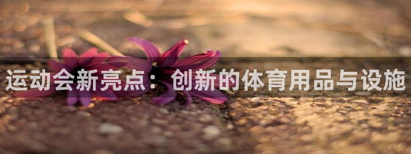 fb体育平台假的吗是真的吗:运动会新亮点:创新的体育用品与设