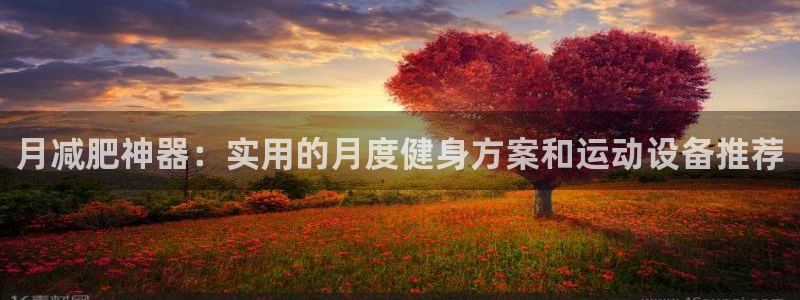 fb体育集团官网首页:月减肥神器:实用的月度健身方案和运动设