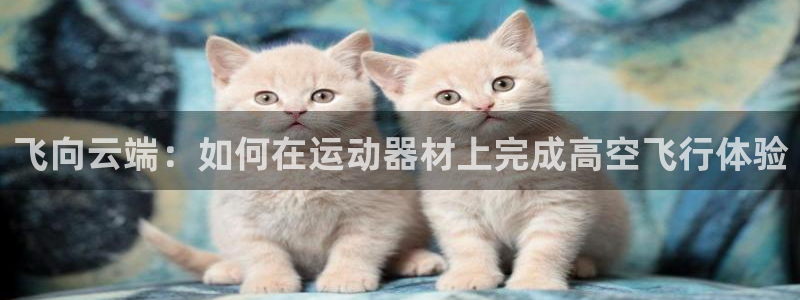fb体育招商电话地址是多少