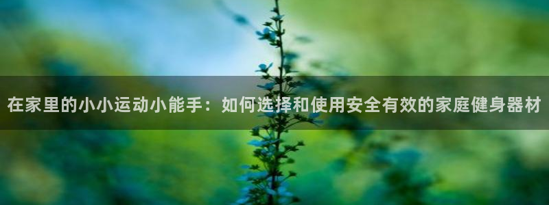 fb体育平台假的吗是真的吗