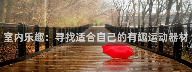 fb体育招商：室内乐趣：寻找适合自己的有趣运动器材