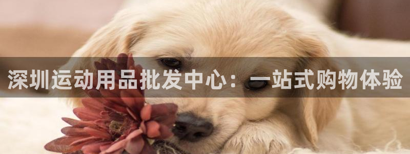 fb体育平台：深圳运动用品批发中心：一站式购物体验