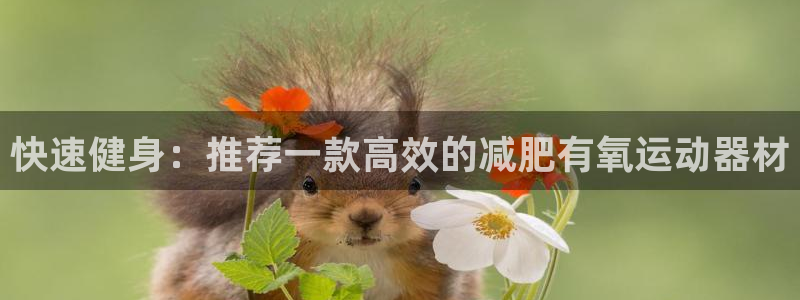 fb体育娱乐首页网站大全