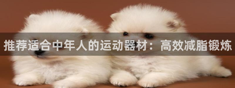 fb体育娱乐代理怎么样：推荐适合中年人的运动器材：高效减脂锻